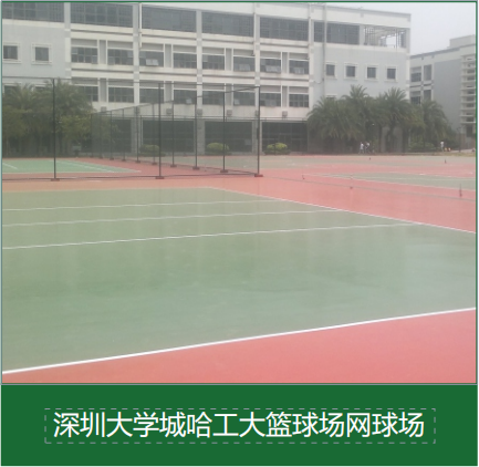 FIFA认证人造草坪在校园运动场地的应用案例分析